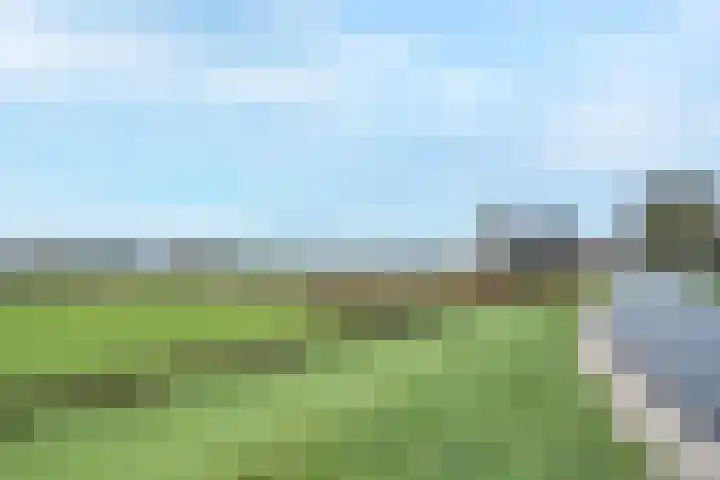Van Arkellaan 23 Ammerzoden thumbnail 40