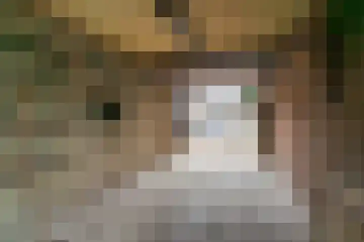 Van Arkellaan 23 Ammerzoden thumbnail 6