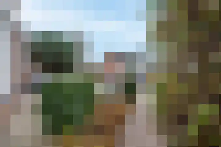 Van Arkellaan 23 Ammerzoden thumbnail 8