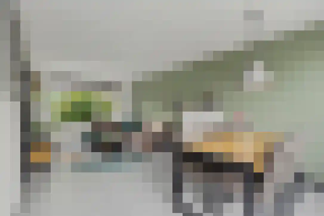 van Arkelstraat 18 Asperen thumbnail 12