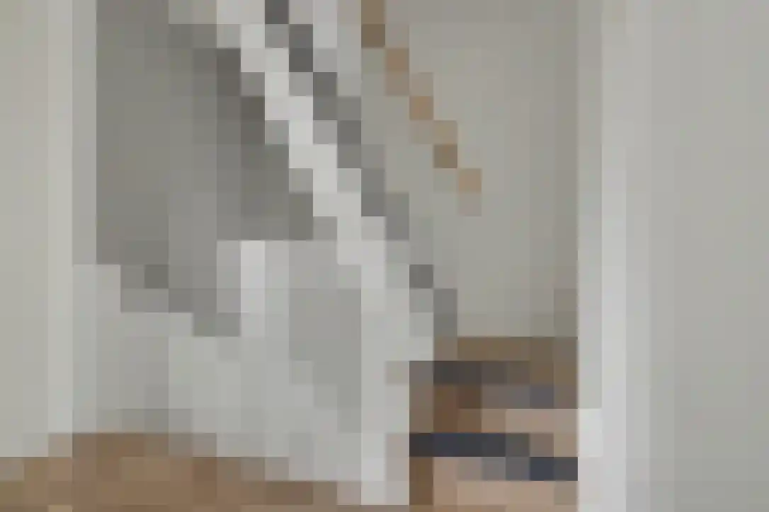 van Arkelstraat 18 Asperen thumbnail 15