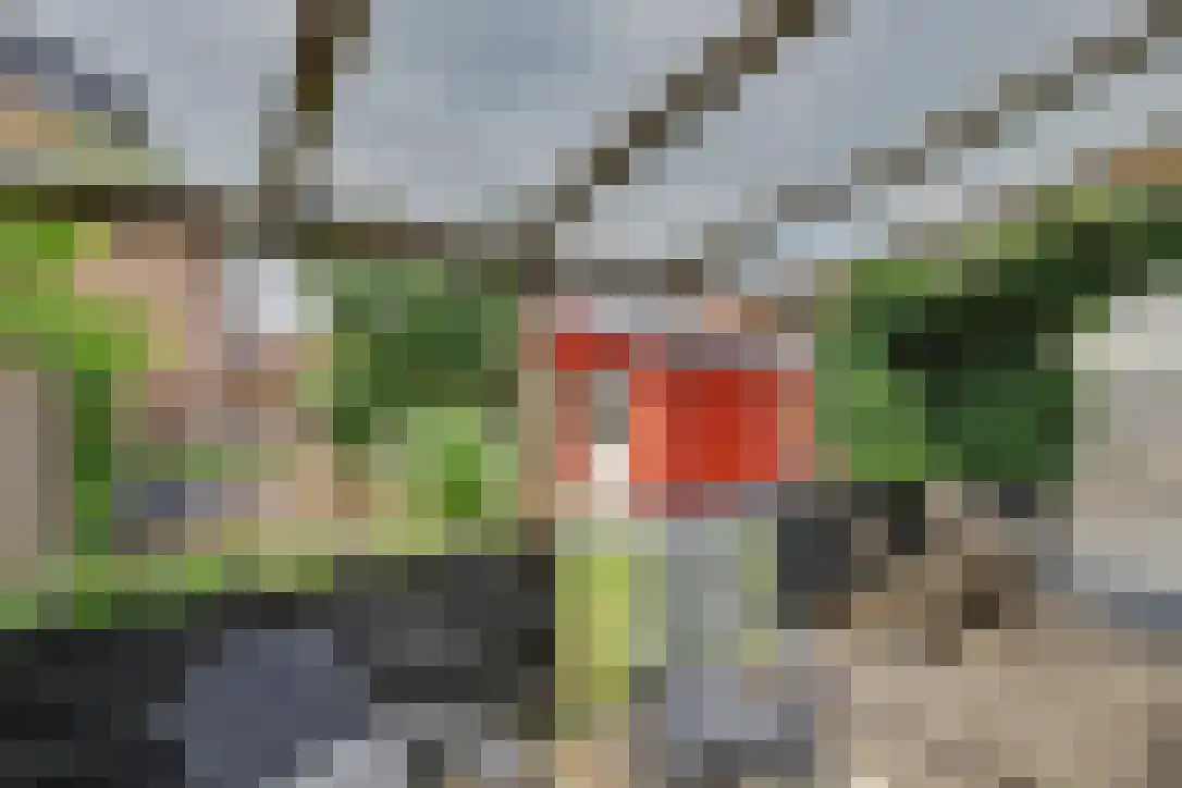 van Arkelstraat 18 Asperen thumbnail 28