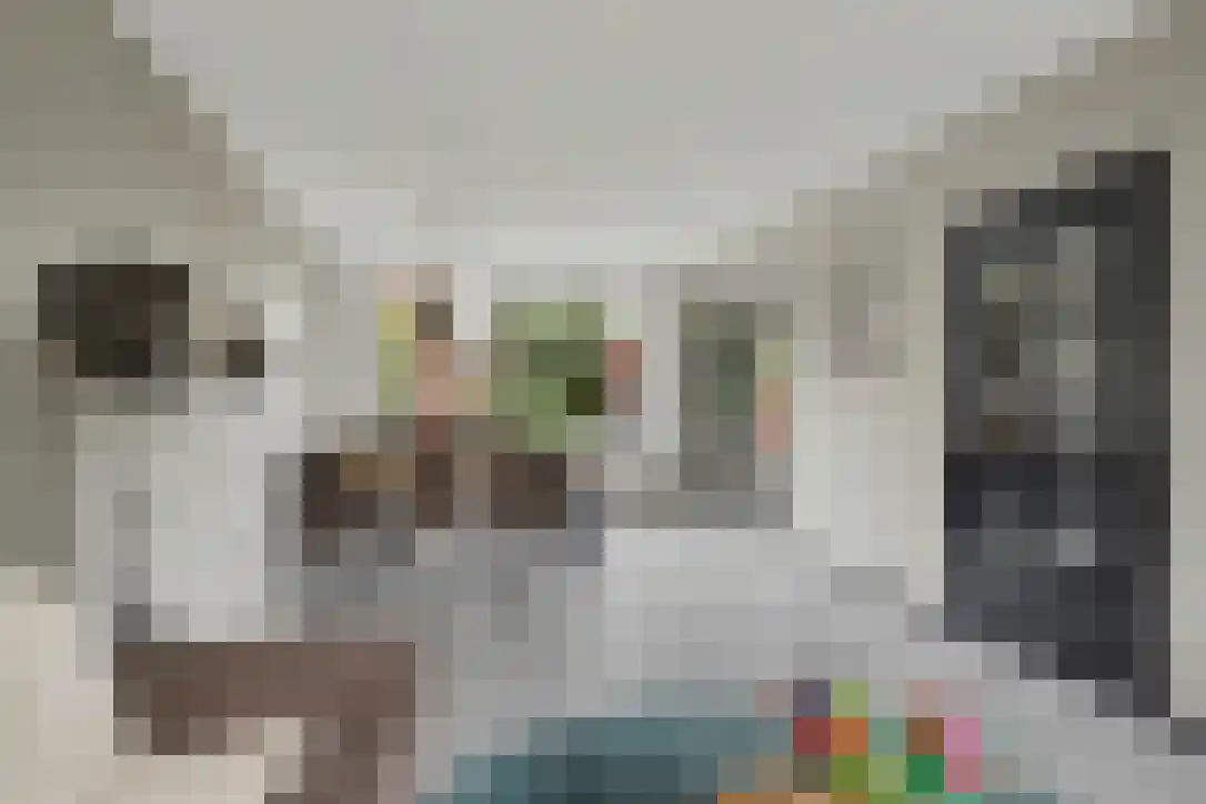 van Arkelstraat 18 Asperen thumbnail 4