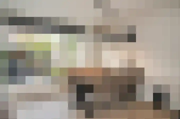van Arkelstraat 20 Asperen thumbnail 10