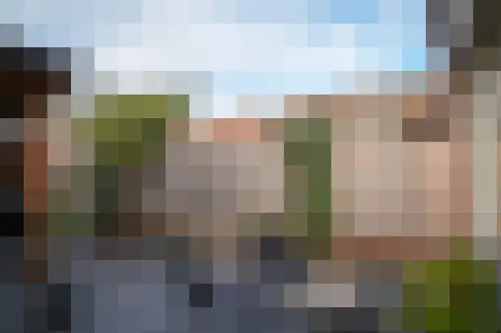 van Arkelstraat 20 Asperen thumbnail 22