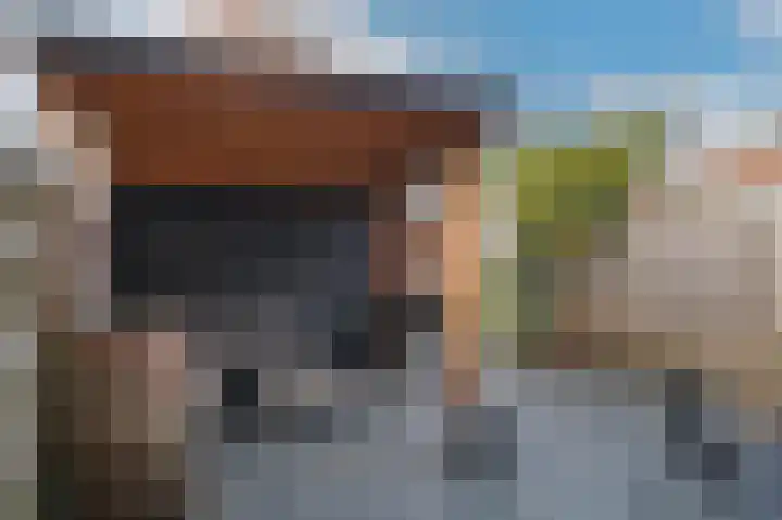 van Arkelstraat 20 Asperen thumbnail 23
