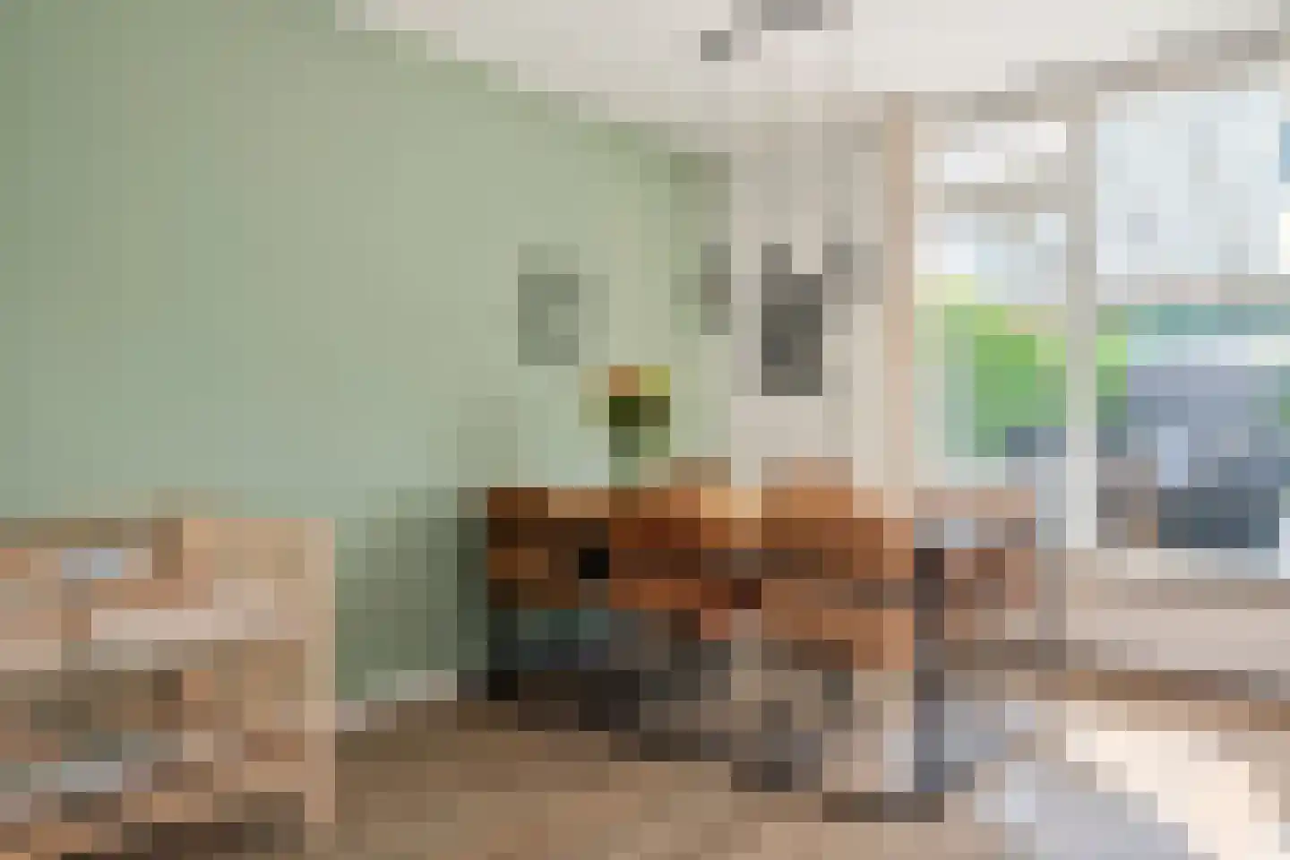 van Arkelstraat 31 Asperen thumbnail 11