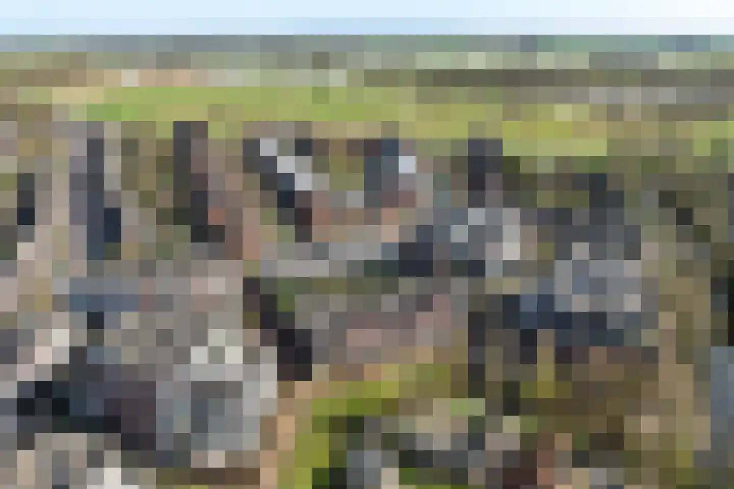 Van Arnhemhof 6 Wageningen thumbnail 36