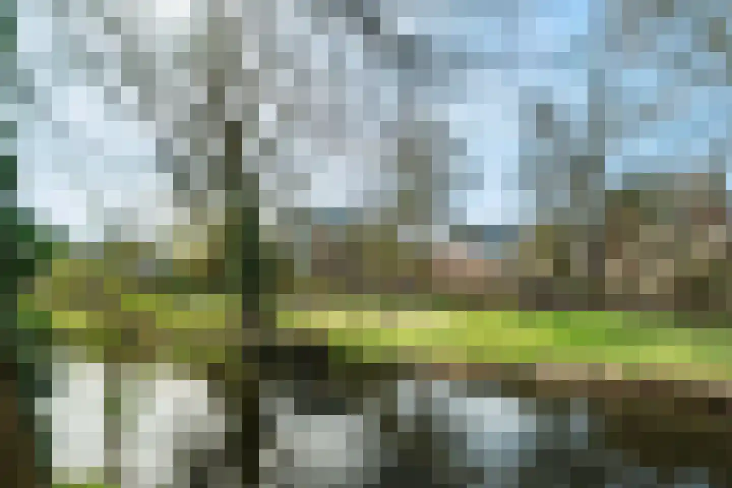 Van Arnhemhof 6 Wageningen thumbnail 40