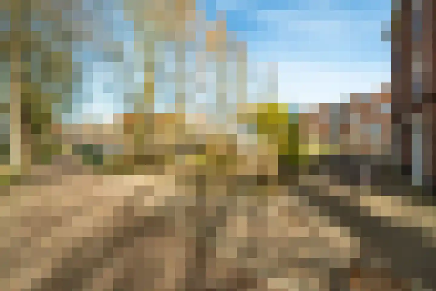 Van Arnhemhof 6 Wageningen thumbnail 41