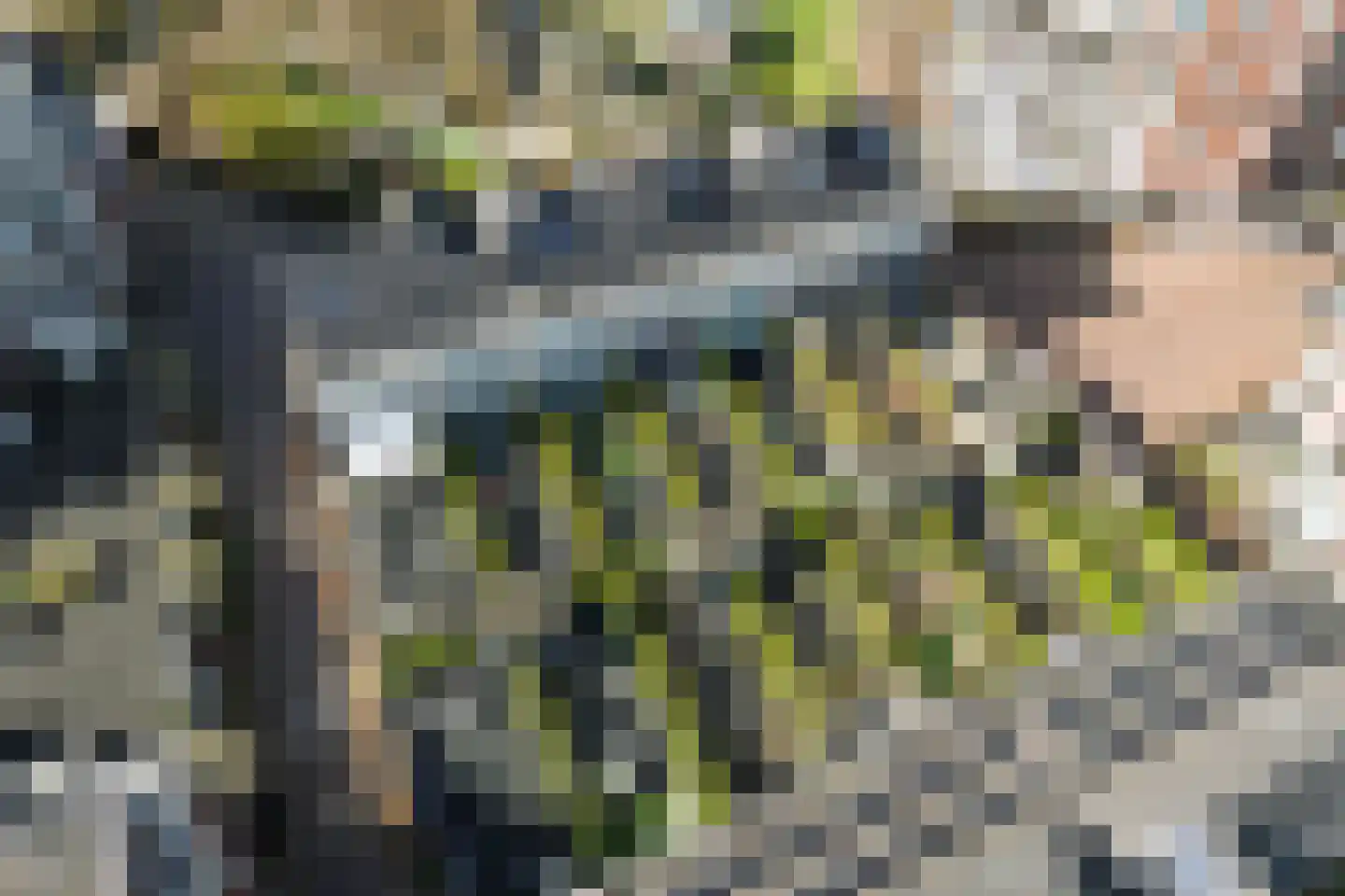 Van Arnhemhof 6 Wageningen thumbnail 44