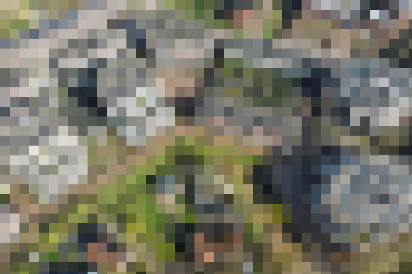 Van Arnhemhof 6 Wageningen thumbnail 45
