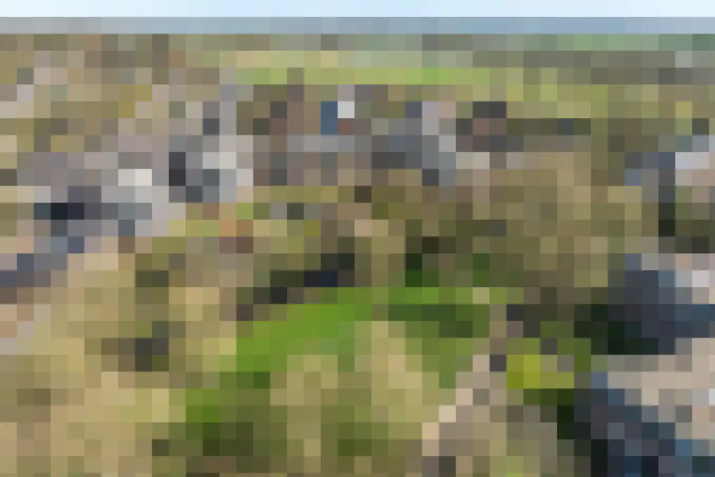 Van Arnhemhof 6 Wageningen thumbnail 46