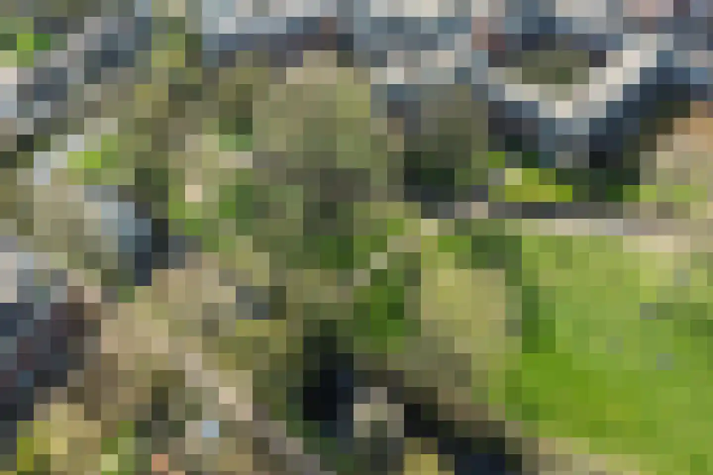 Van Arnhemhof 6 Wageningen thumbnail 47