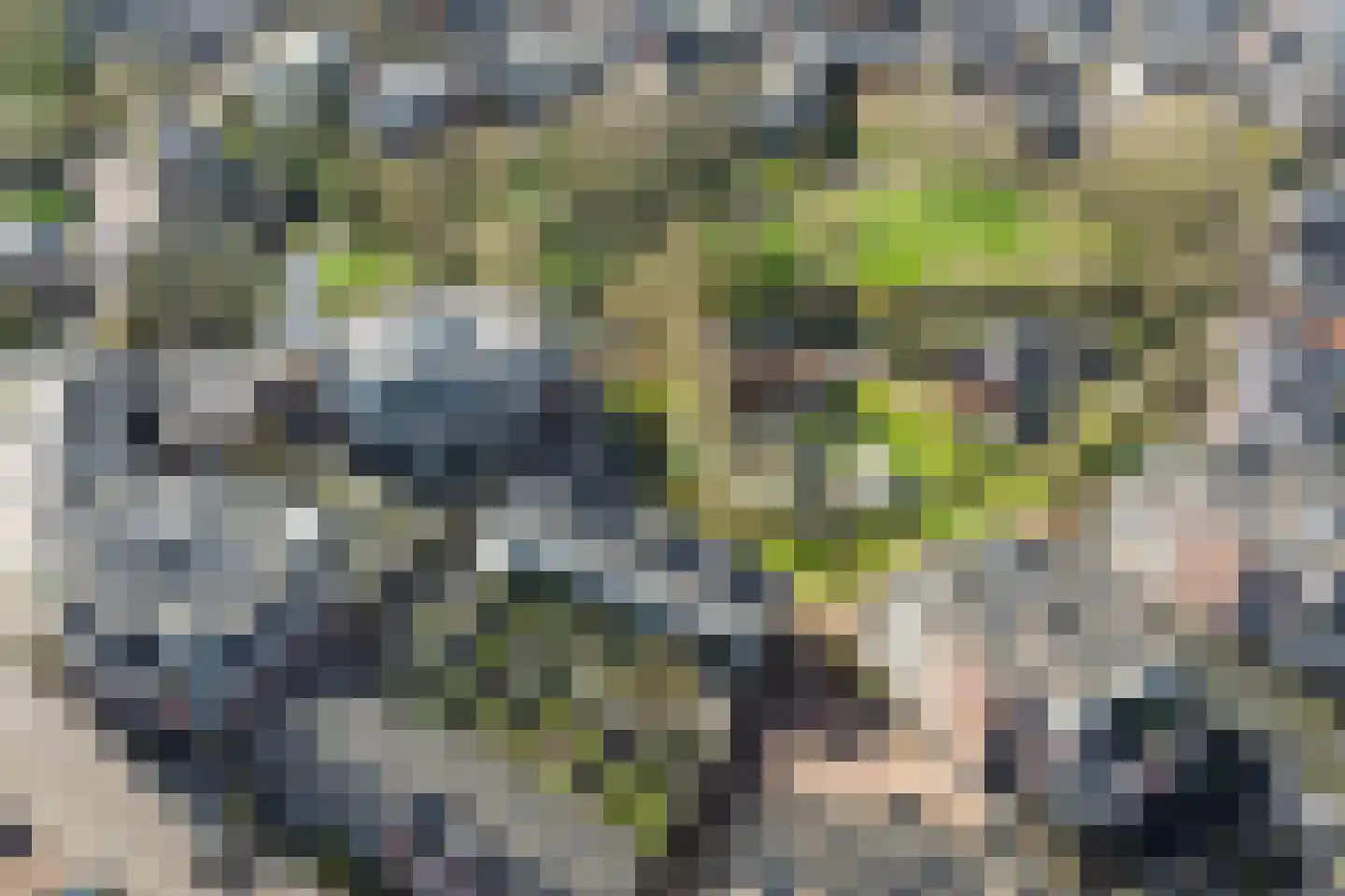 Van Arnhemhof 6 Wageningen thumbnail 48