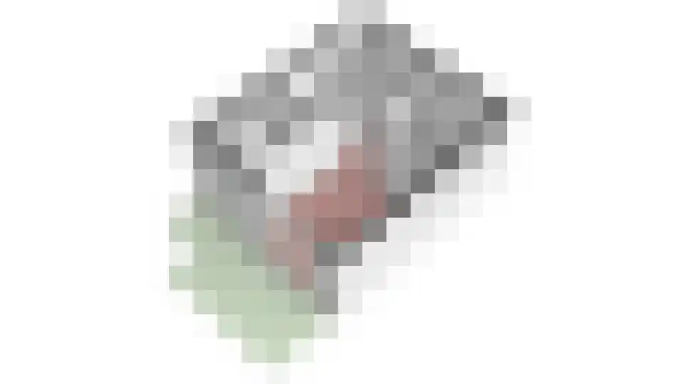Van Arnhemhof 6 Wageningen thumbnail 50