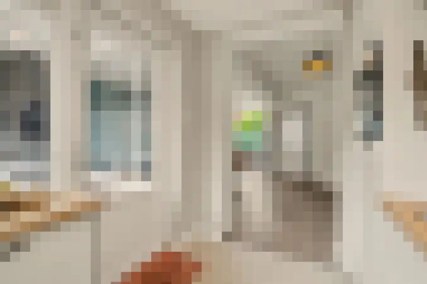 Van Asbeckstraat 10 Oudheusden thumbnail 12