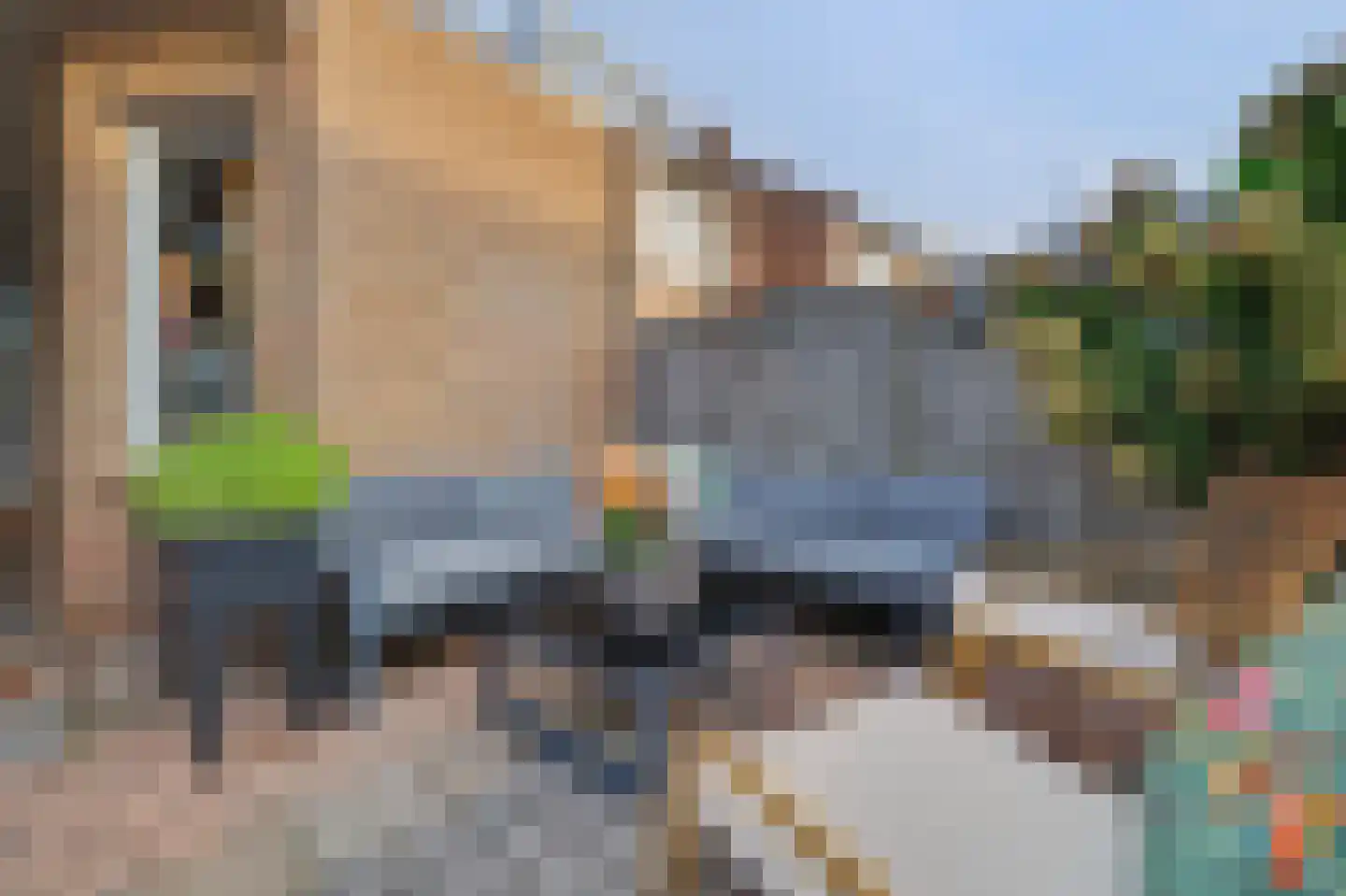 Van Asbeckstraat 10 Oudheusden thumbnail 31