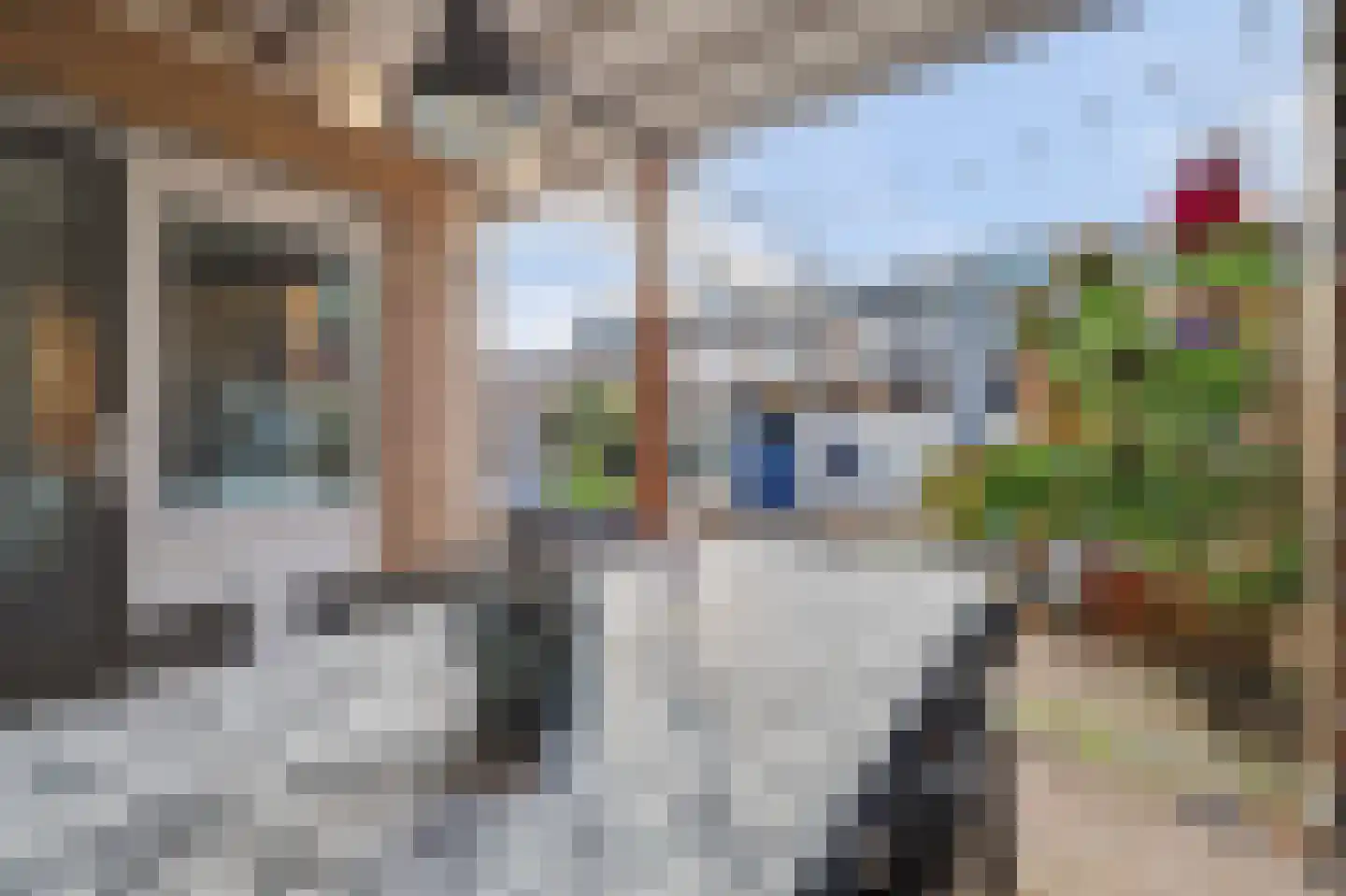 Van Asbeckstraat 10 Oudheusden thumbnail 35