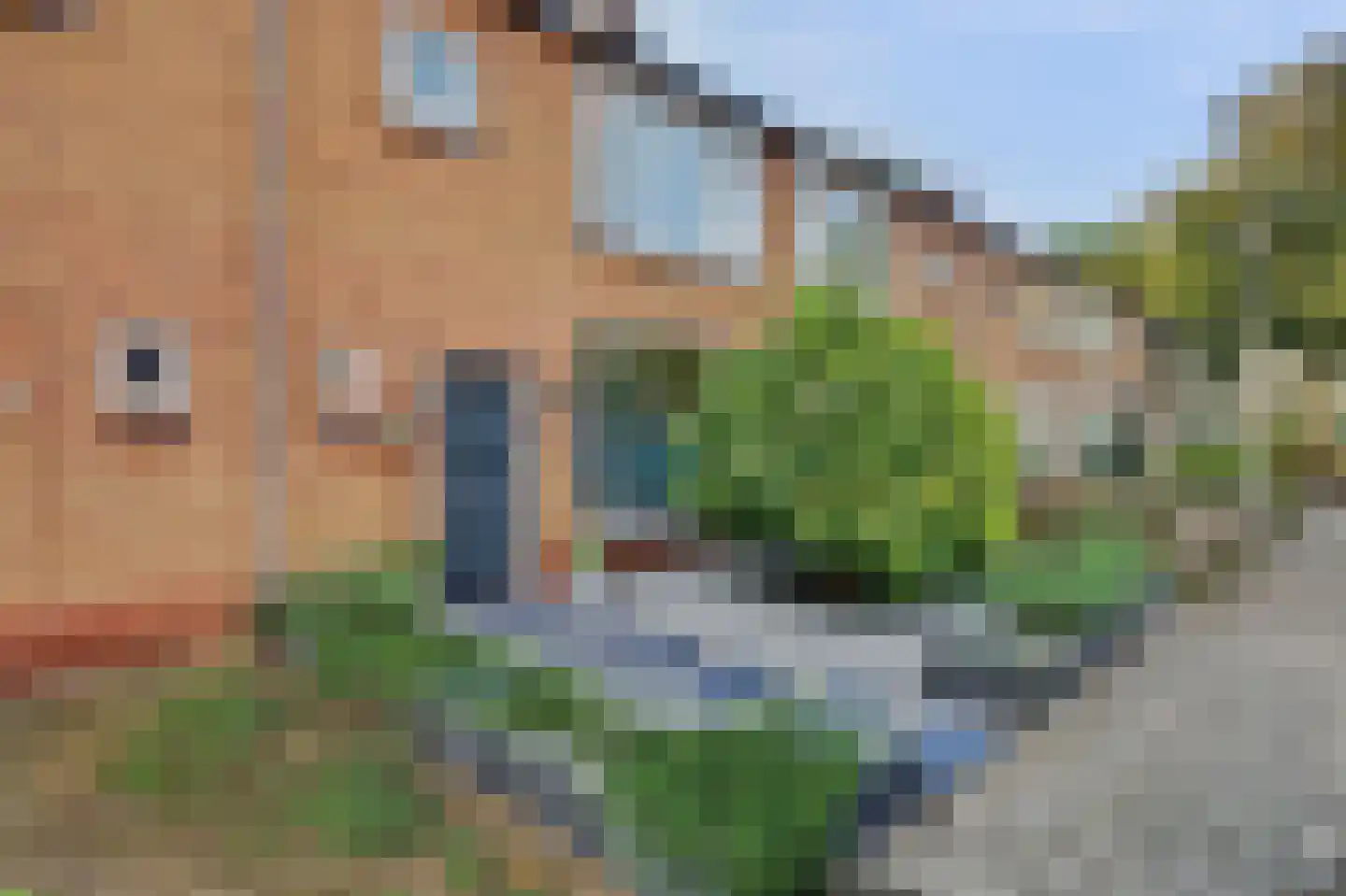 Van Asbeckstraat 10 Oudheusden thumbnail 39