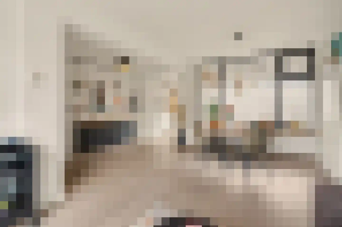 Van Asbeckstraat 10 Oudheusden thumbnail 7