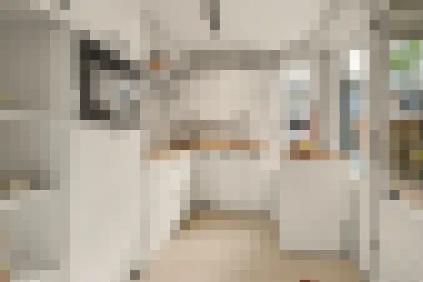 Van Asbeckstraat 10 Oudheusden thumbnail 9