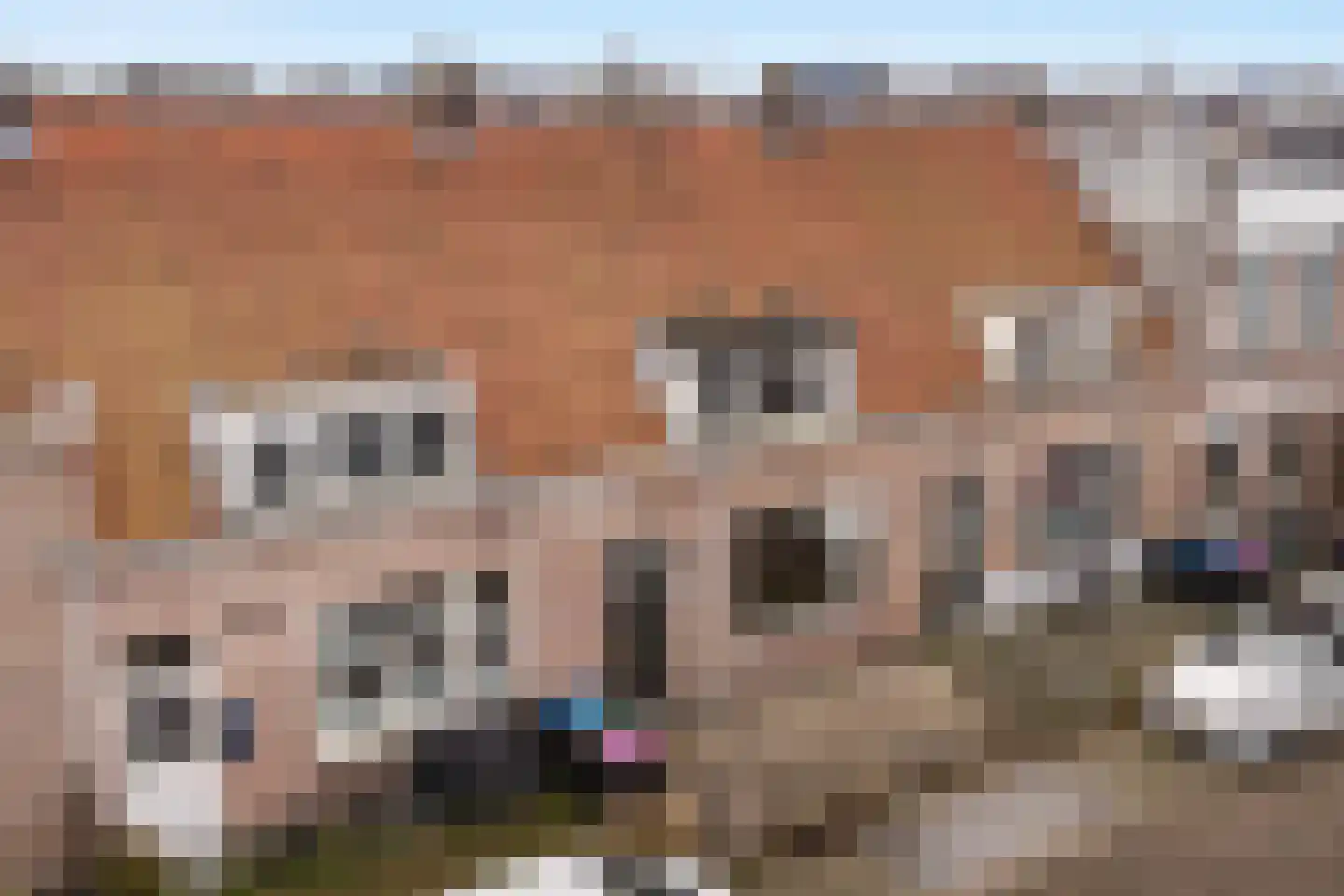 van Asbeckstraat 38 Leeuwarden thumbnail 33