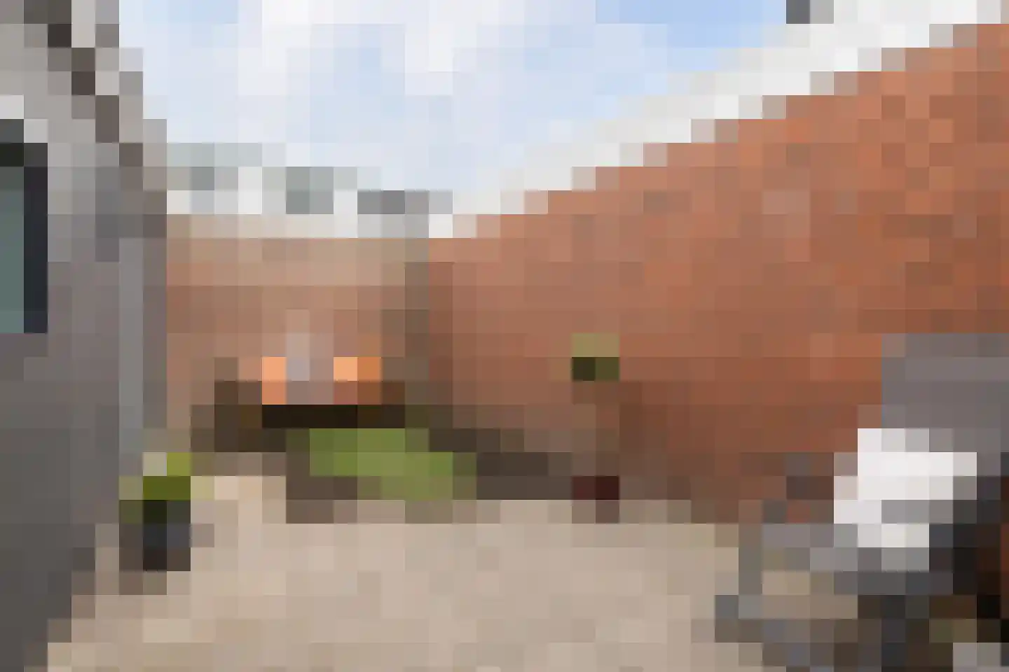 van Asbeckstraat 61 Leeuwarden thumbnail 33