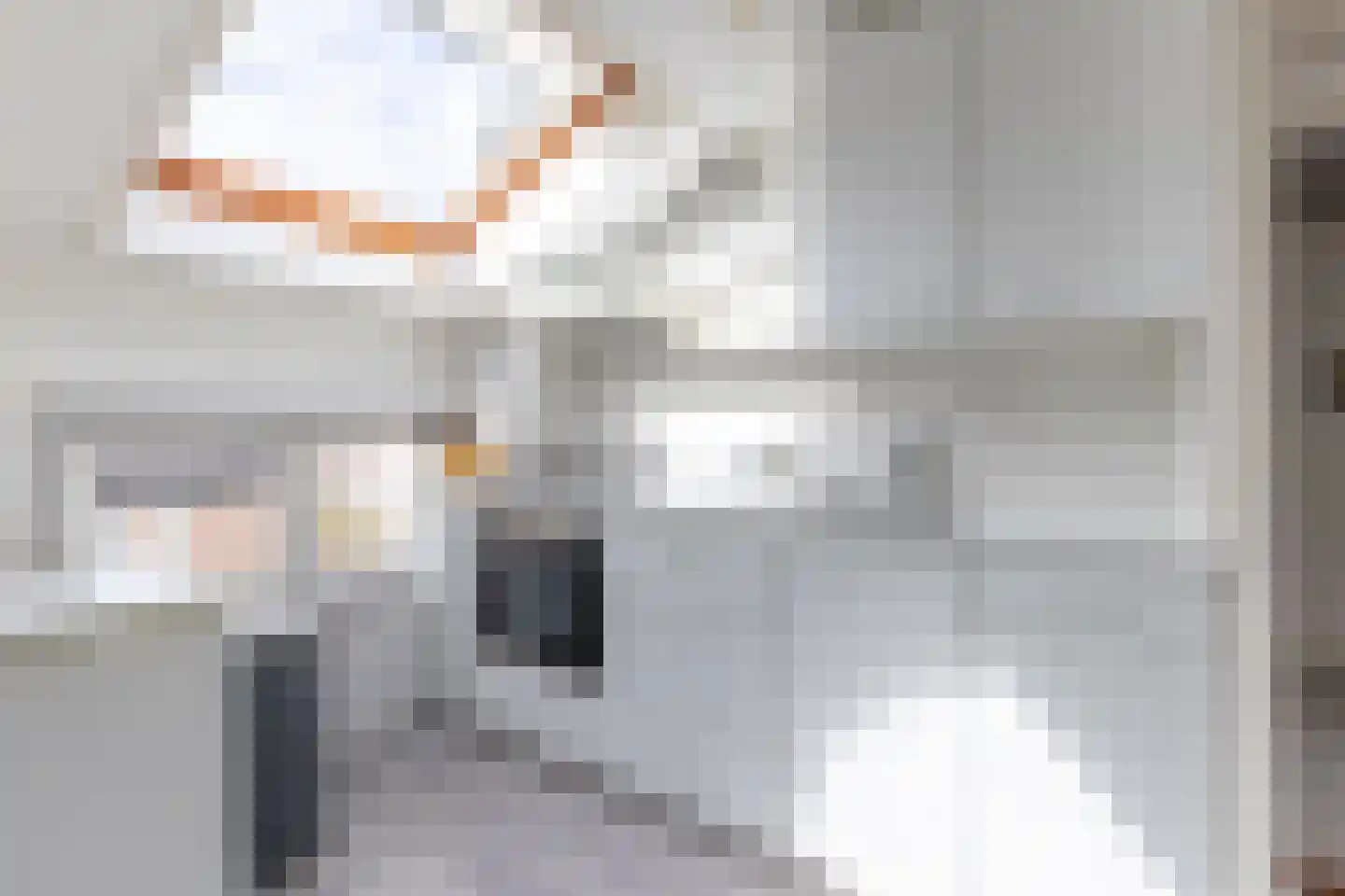 Van Asch van Wijckskade 15 C Utrecht thumbnail 14