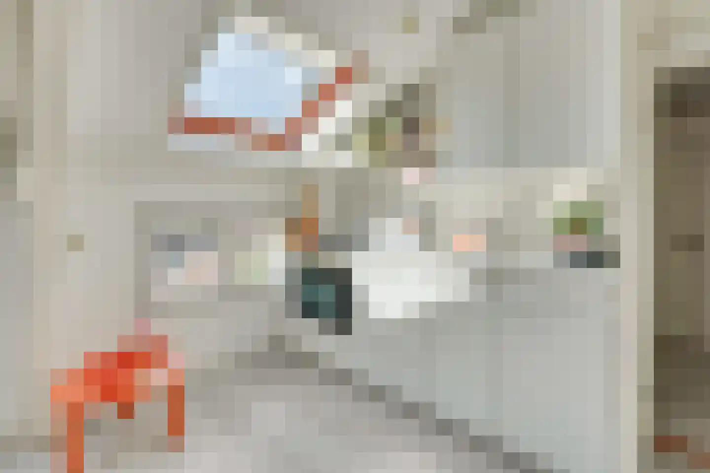 Van Asch van Wijckskade 15 C Utrecht thumbnail 18