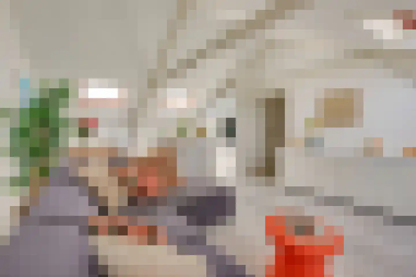 Van Asch van Wijckskade 15 C Utrecht thumbnail 21