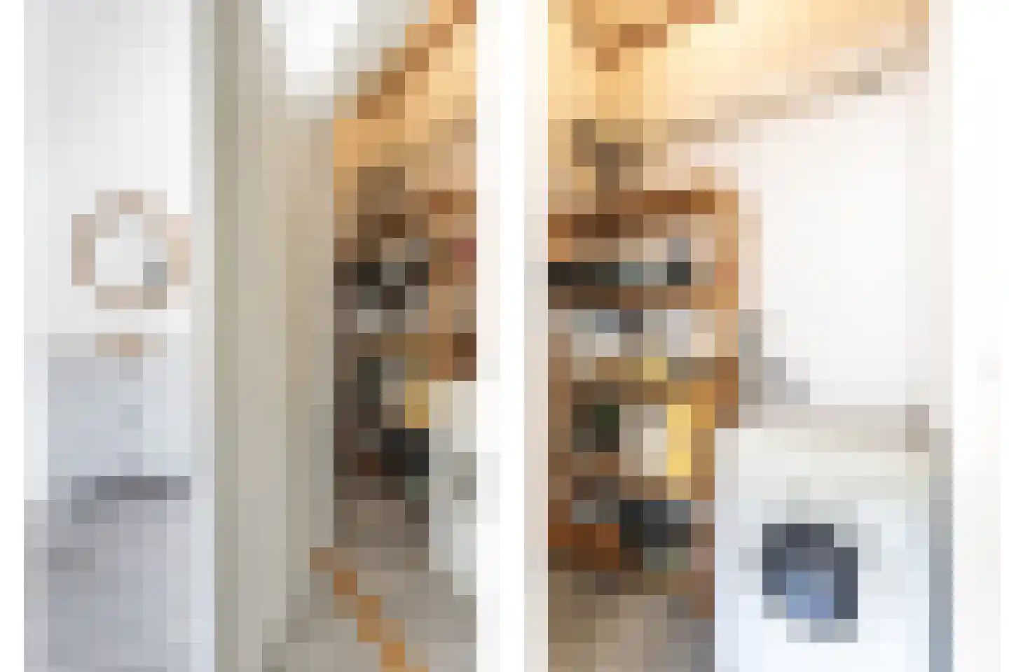 Van Asch van Wijckskade 15 C Utrecht thumbnail 25