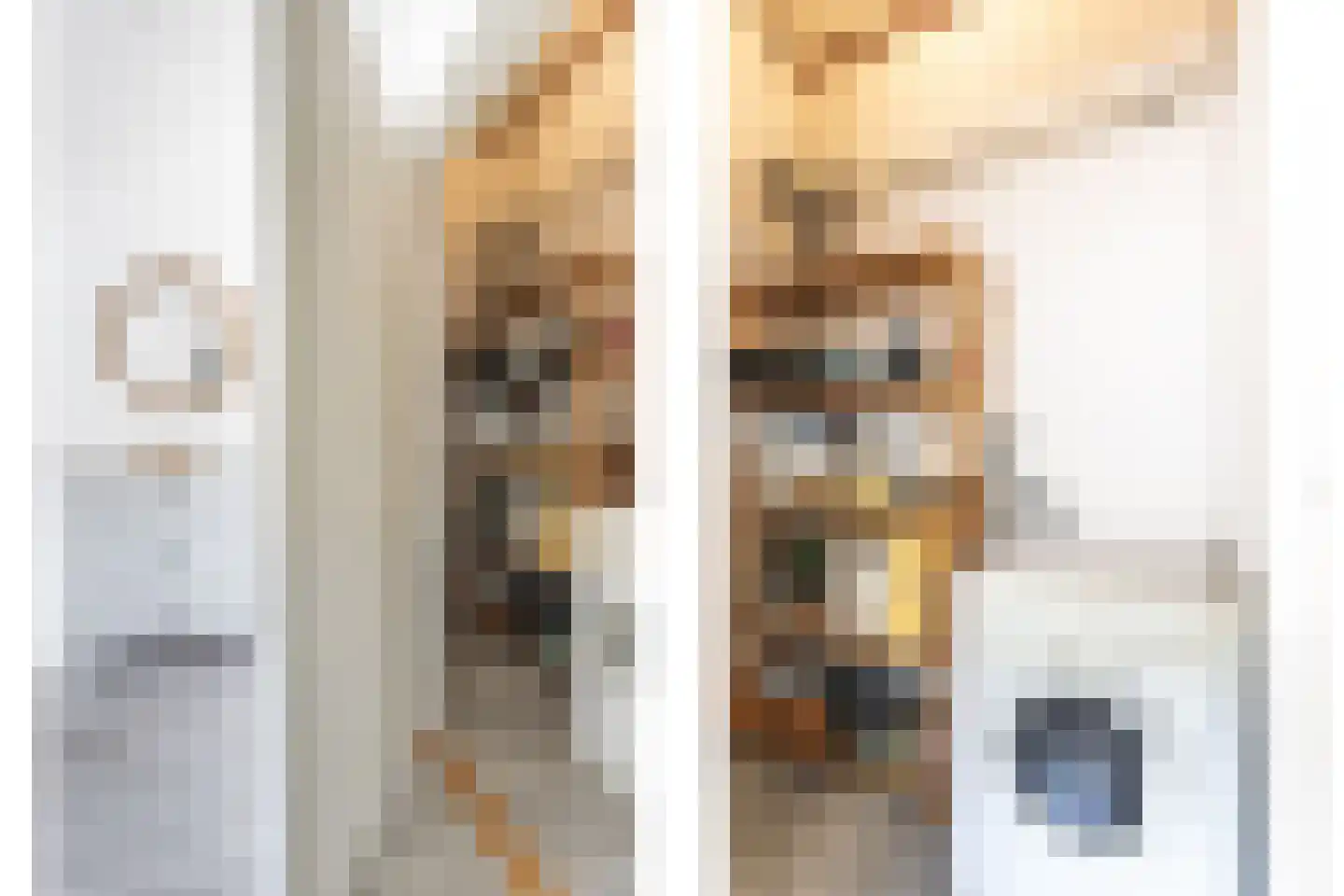 Van Asch van Wijckskade 15 C Utrecht thumbnail 25