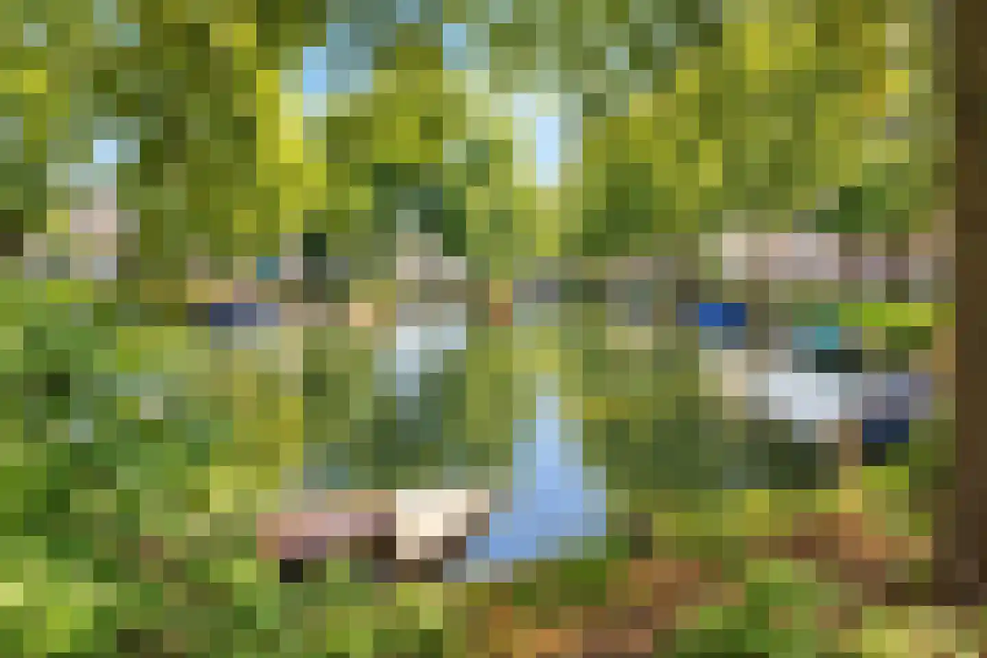 Van Asch van Wijckskade 15 C Utrecht thumbnail 33