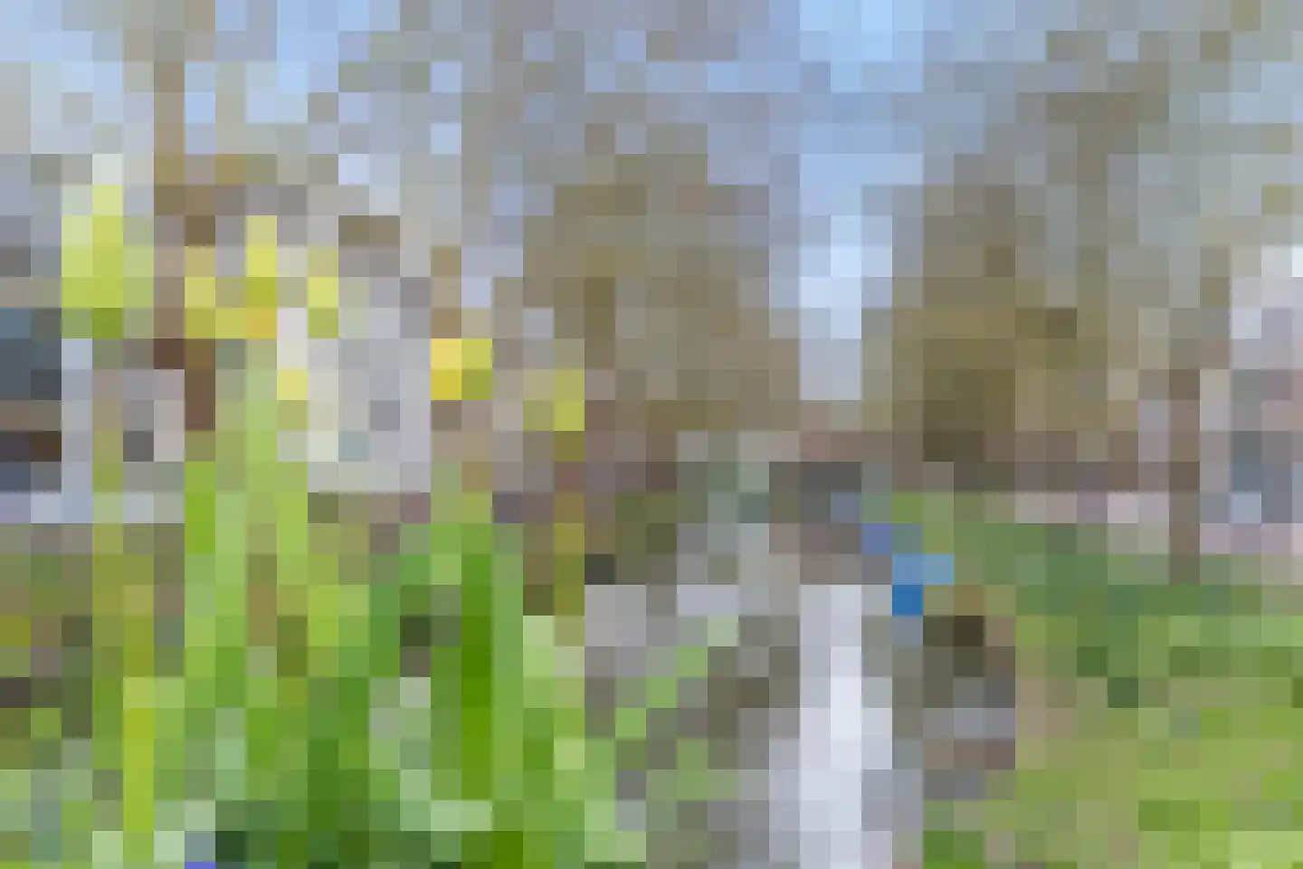 Van Asch van Wijckskade 15 C Utrecht thumbnail 36