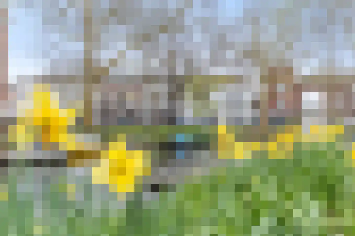 Van Asch van Wijckskade 15 C Utrecht thumbnail 38