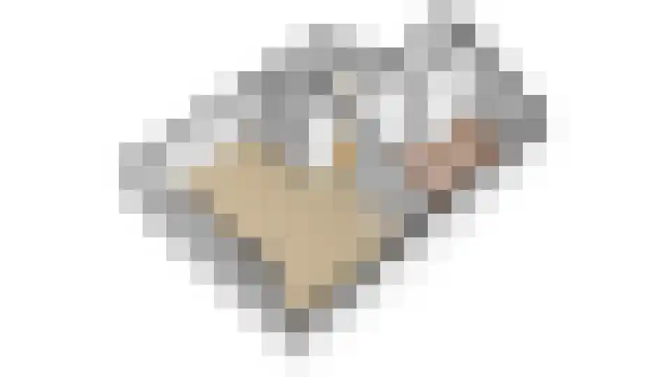Van Asch van Wijckskade 15 C Utrecht thumbnail 41