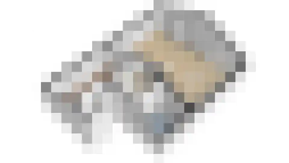 Van Asch van Wijckskade 15 C Utrecht thumbnail 42