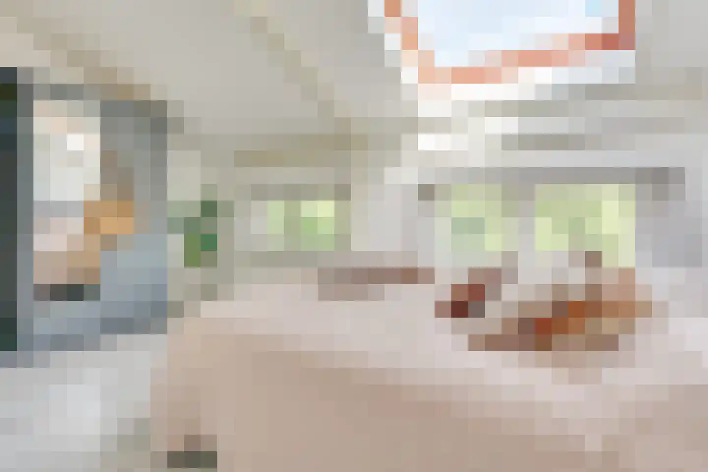 Van Asch van Wijckskade 15 C Utrecht thumbnail 5