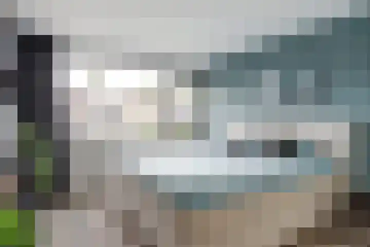 van Asperenstraat 10 Heerhugowaard thumbnail 15