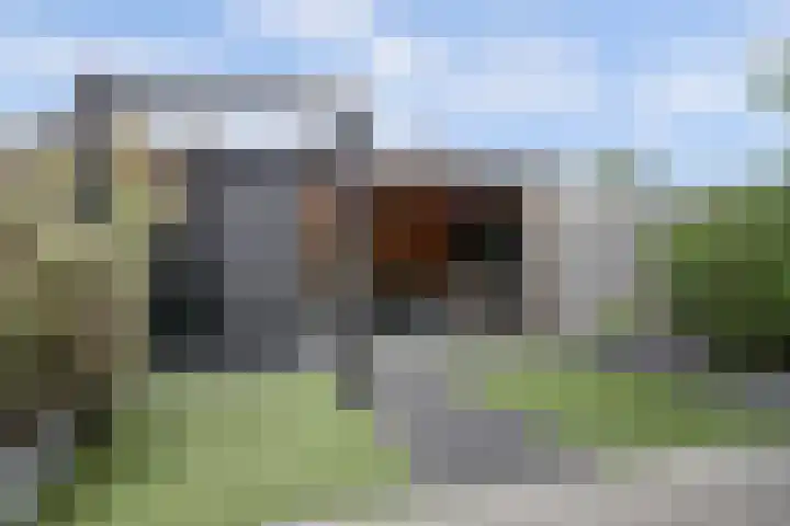 van Asperenstraat 10 Heerhugowaard thumbnail 30