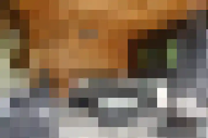 van Asperenstraat 10 Heerhugowaard thumbnail 31