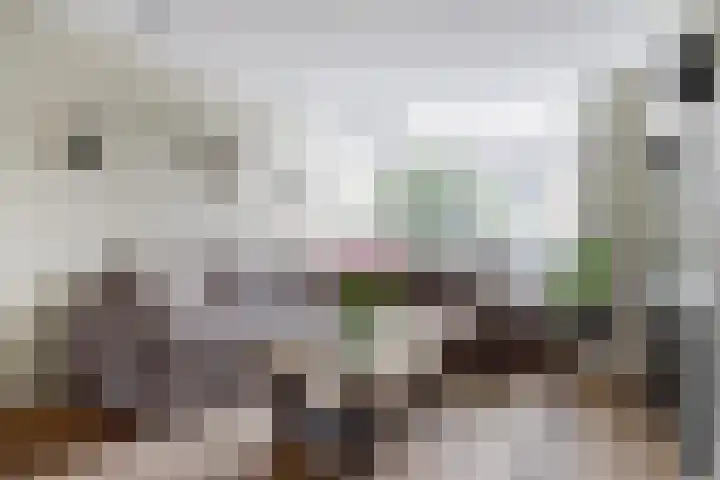 van Asperenstraat 10 Heerhugowaard thumbnail 4