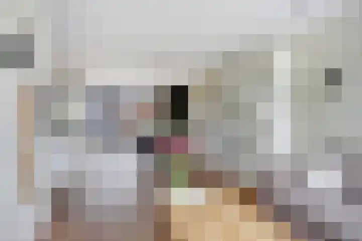 van Asperenstraat 10 Heerhugowaard thumbnail 6