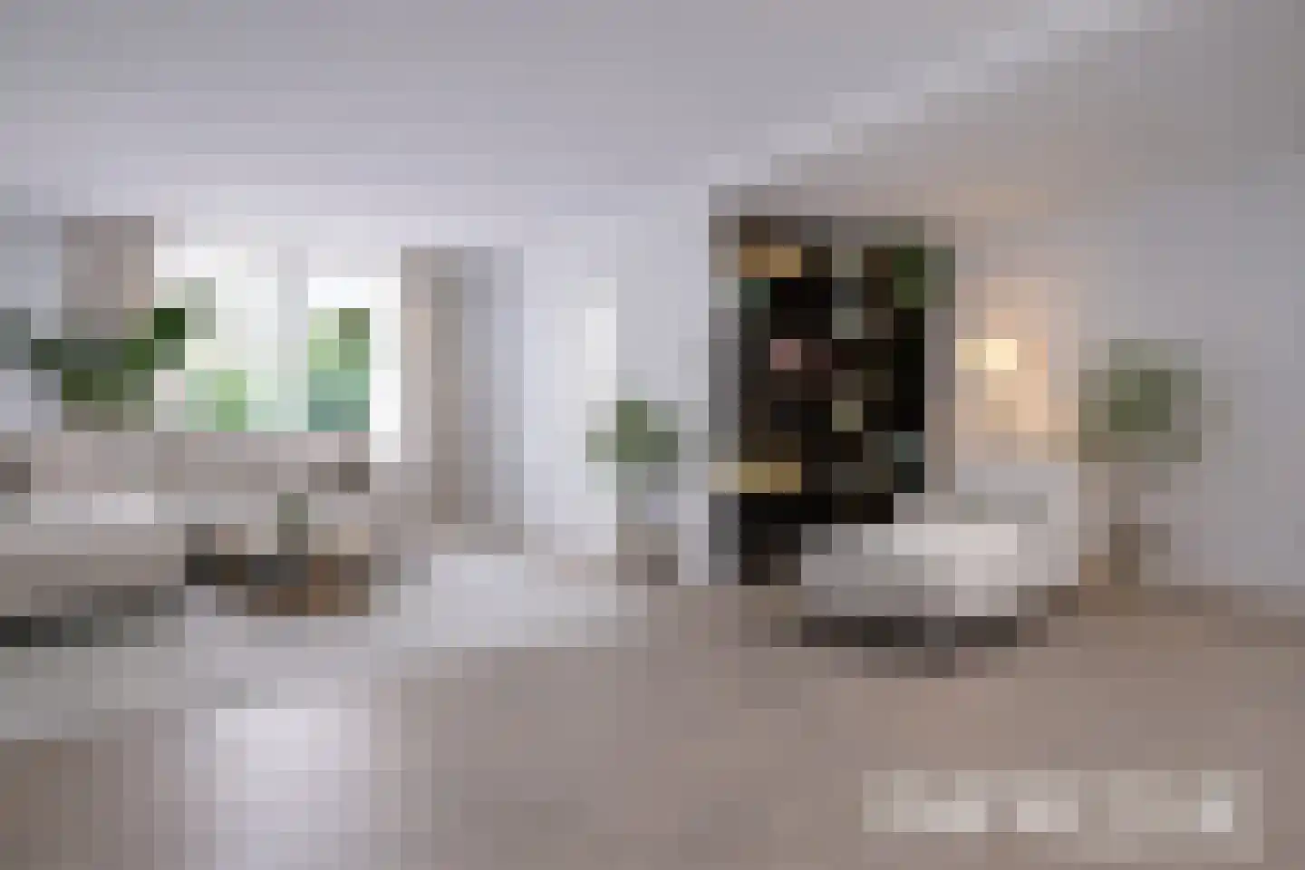 van Asperenstraat 11 Heerhugowaard thumbnail 10
