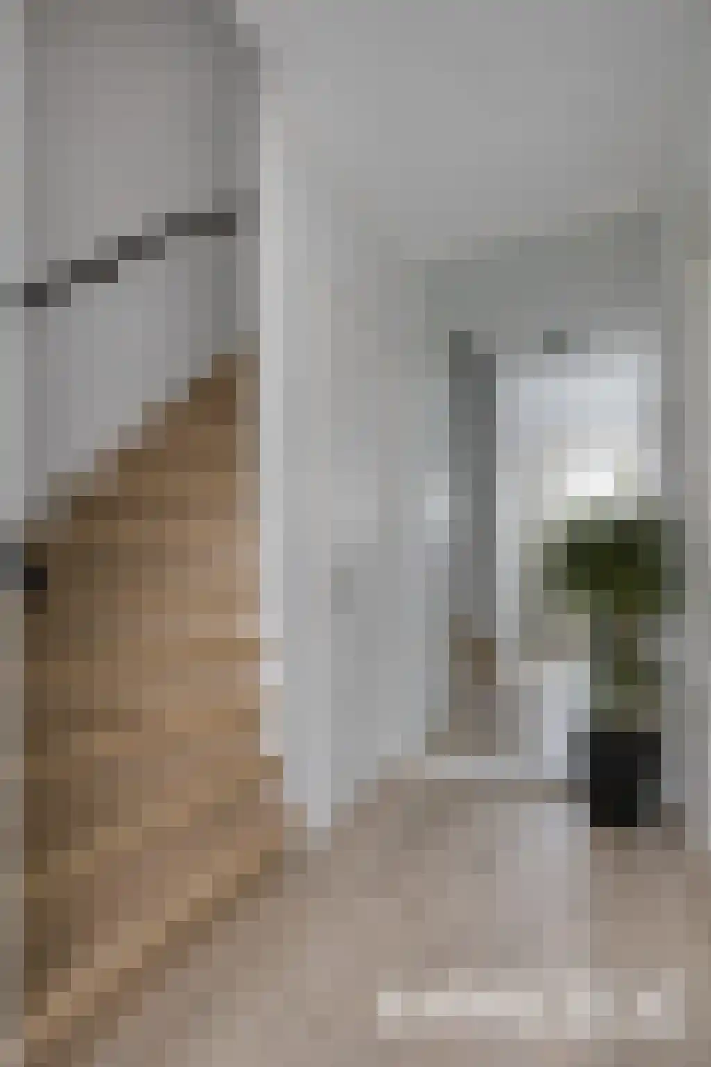 van Asperenstraat 11 Heerhugowaard thumbnail 12