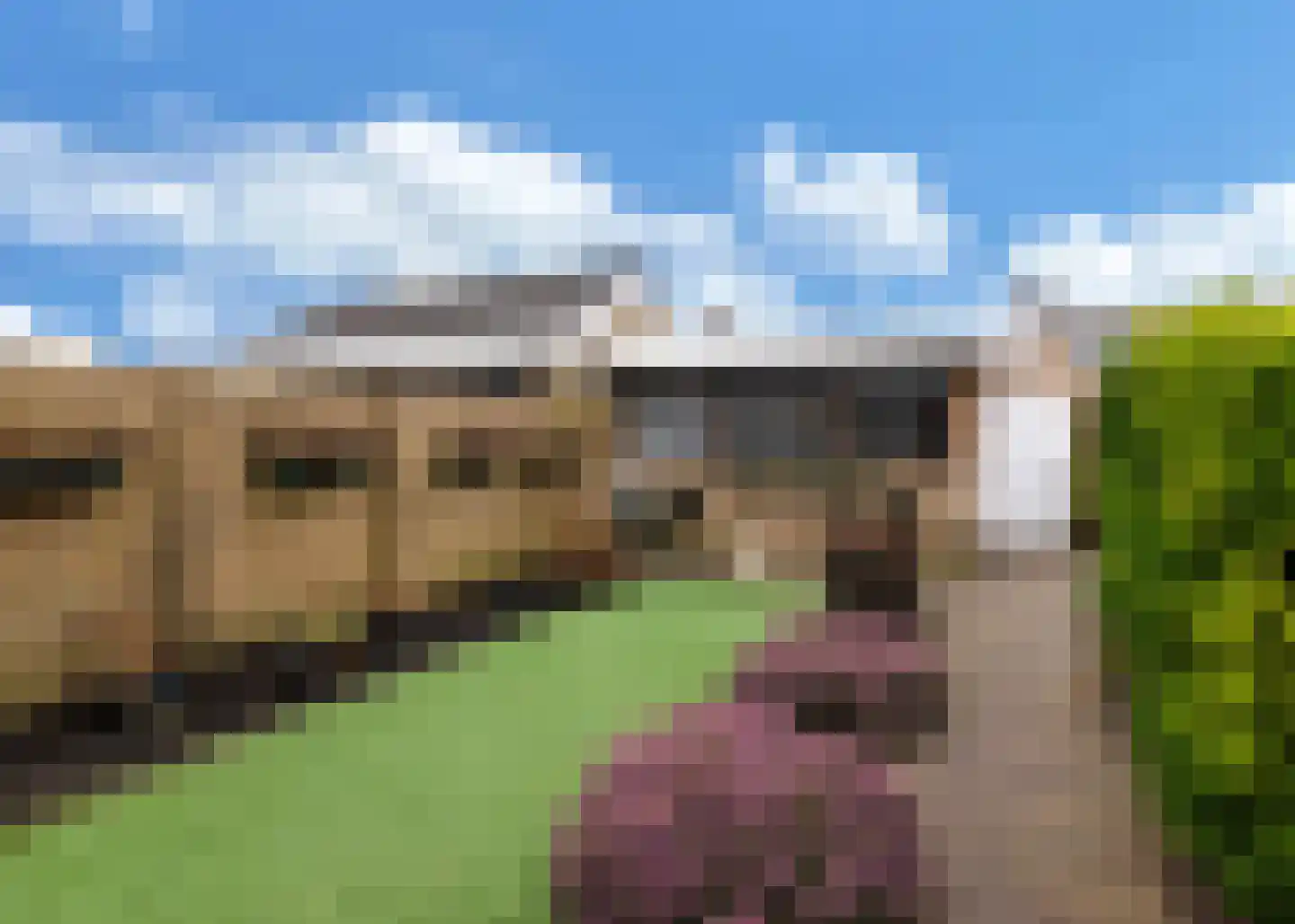 van Asperenstraat 11 Heerhugowaard thumbnail 23