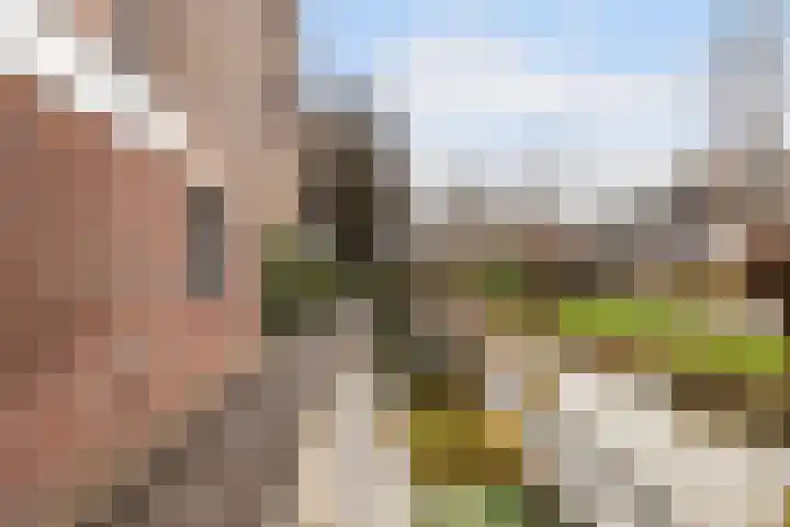 Van Asperenstraat 27 Hardinxveld-Giessendam thumbnail 36