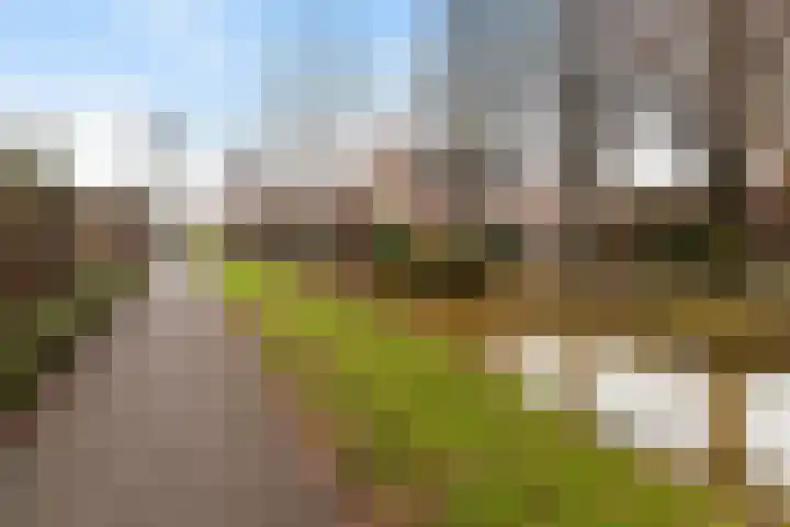Van Asperenstraat 27 Hardinxveld-Giessendam thumbnail 39