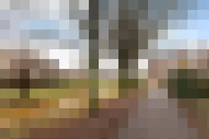 Van Asperenstraat 27 Hardinxveld-Giessendam thumbnail 41